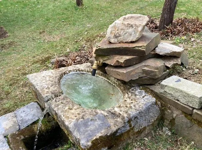 Rakouská *